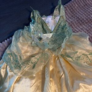 Disney Tiana Costume